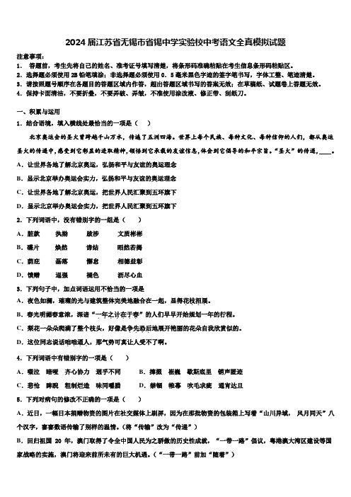 2024届江苏省无锡市省锡中学实验校中考语文全真模拟试题含解析