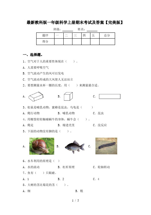 最新教科版一年级科学上册期末考试及答案【完美版】