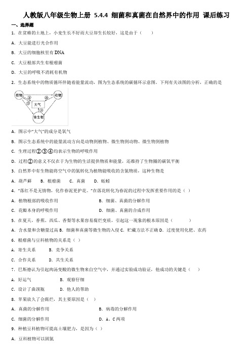 人教版八年级生物上册 5.4.4 细菌和真菌在自然界中的作用 课后练习