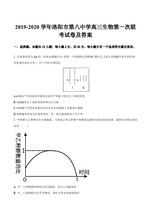 2019-2020学年洛阳市第八中学高三生物第一次联考试卷及答案