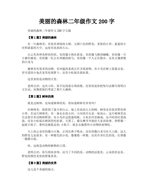 美丽的森林二年级作文200字