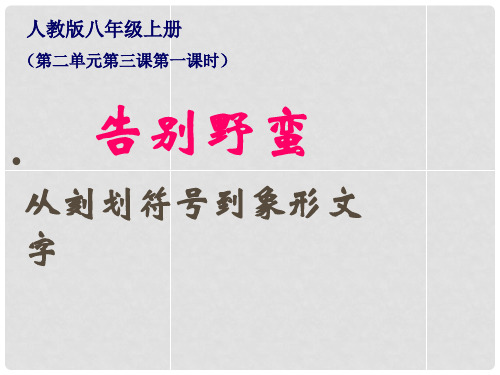 八年级历史与社会上册 第二单元 第3课 第一框 从刻划符号到象形文字课件 人教版