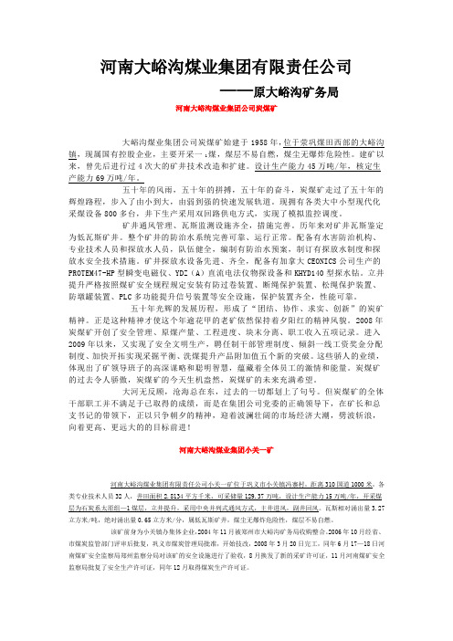 河南大峪沟煤业集团有限责任公司