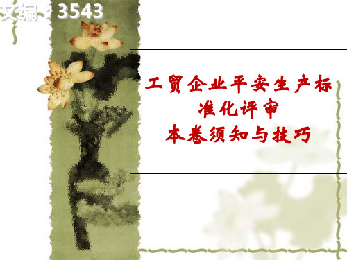 工贸企业安全生产标准化评审注意事项与技巧详细版.ppt