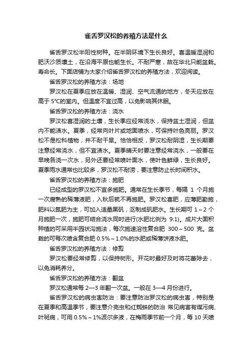 雀舌罗汉松的养殖方法是什么