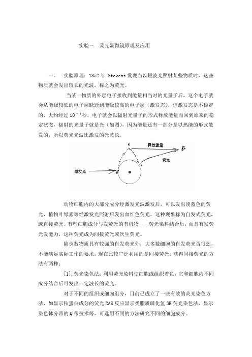 荧光显微镜原理及应用实验原理及步骤