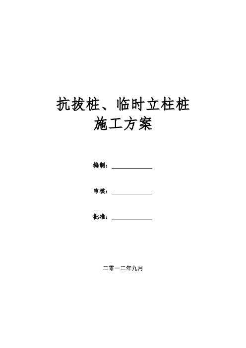 抗拔桩、临时立柱桩(旋挖钻)