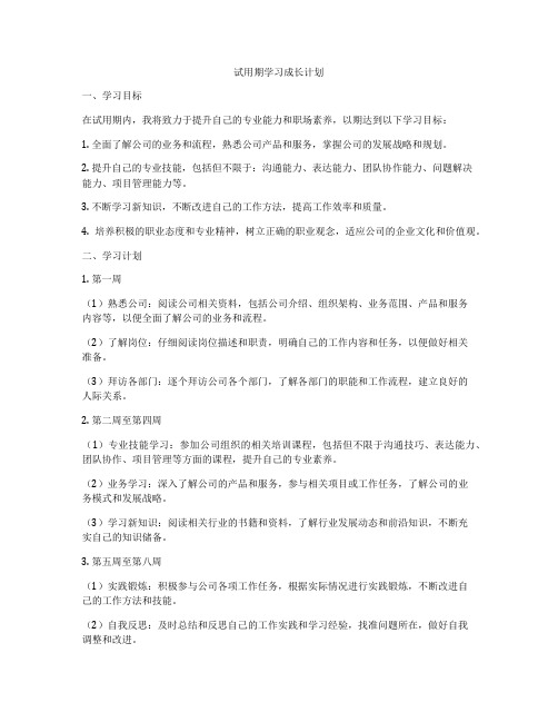 试用期学习成长计划