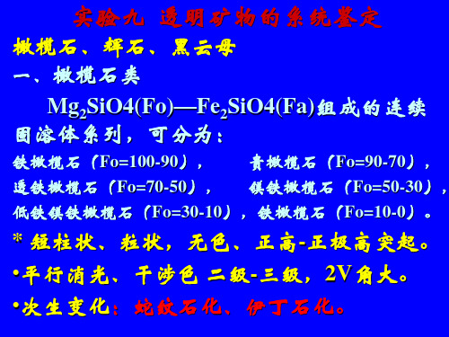 晶体光学实验(十)橄榄石辉石黑云母