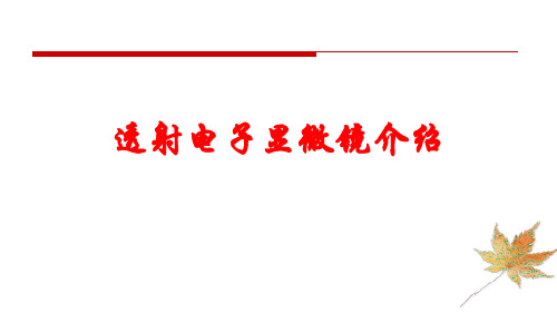 透射电子显微镜介绍