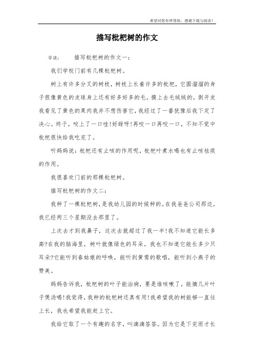 描写枇杷树的作文