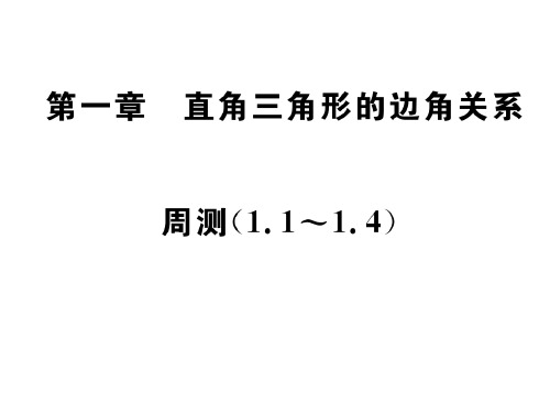 北师大版九年级数学下册习题课件：周测(1. 11. 4) (共23张PPT)