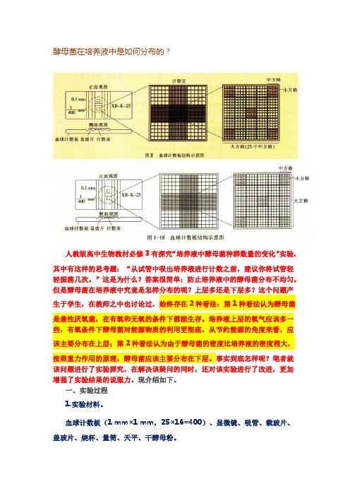 酵母菌在培养液中是如何分布的