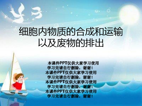 细胞内物质的合成和运输以及废物的排出