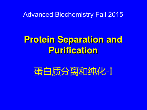 蛋白质的纯化与鉴定