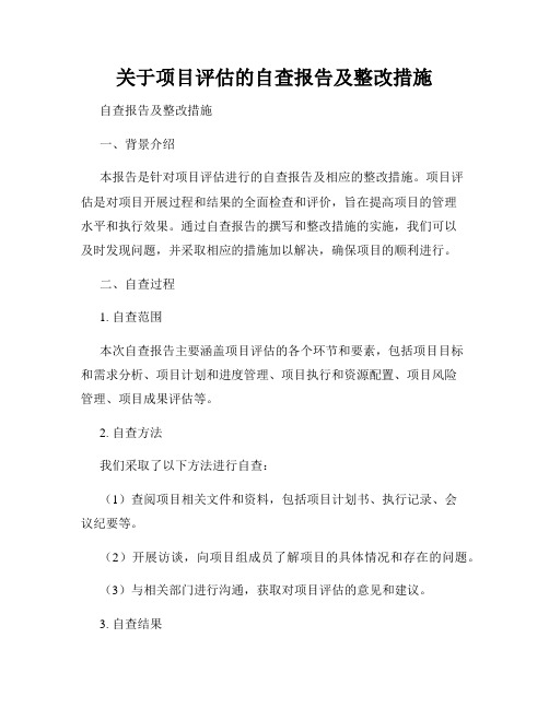 关于项目评估的自查报告及整改措施