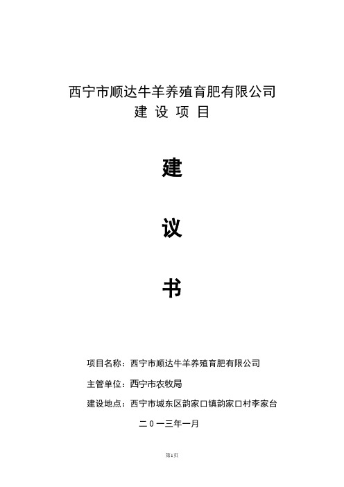 可行性研究报告