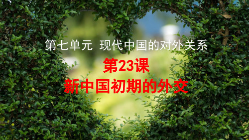 高中历史必修1精品课件：第23课 新中国初期的外交