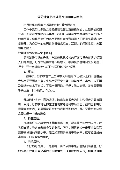 公司计划书格式范文3000字合集