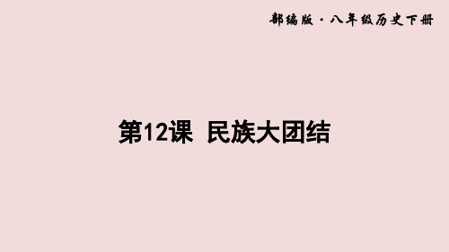 历史八年级下册第四单元民族团结与祖国统一优质课件  (1)