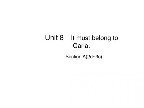 人教版九年级英语全册课件：Unit 8 Section A(2d~3c)