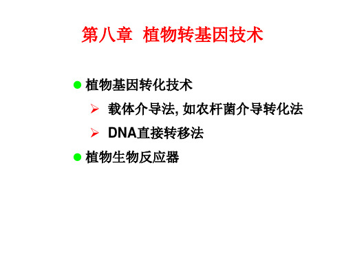 第8章 植物转基因技术1 PPT课件