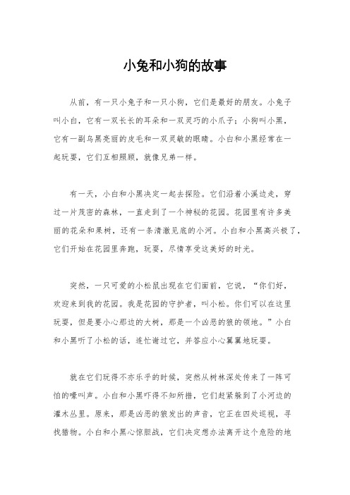 小兔和小狗的故事