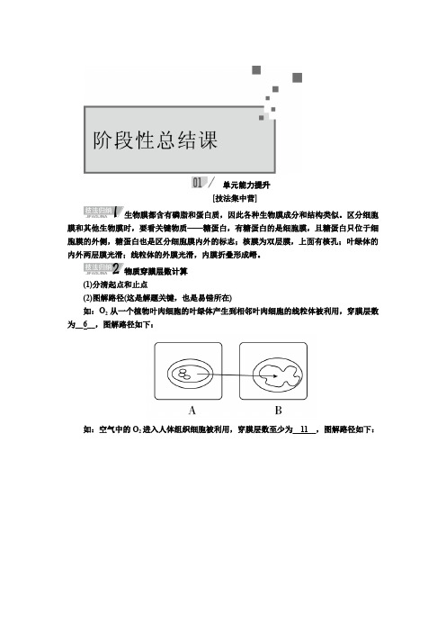 【人教版】高考生物一轮复习教案：第二单元 细胞的基本结构和物质运输功能(含答案)