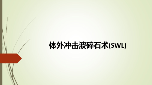 体外冲击波碎石术(SWL)ppt课件