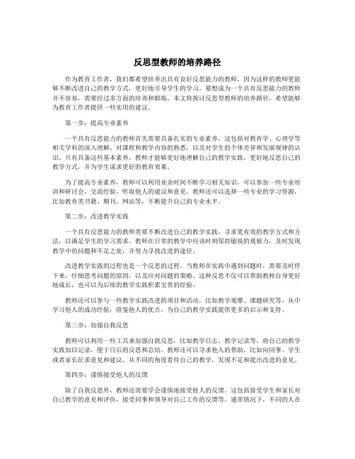 反思型教师的培养路径