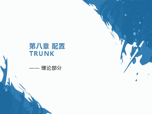 计算机网络基础-TRUNK配置