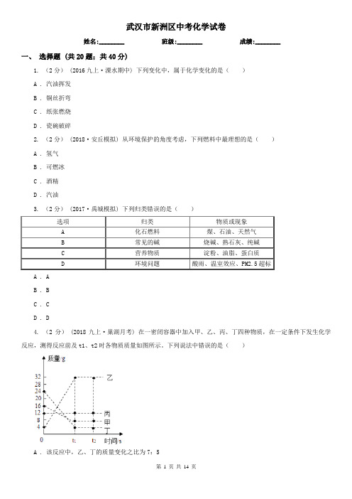 武汉市新洲区中考化学试卷