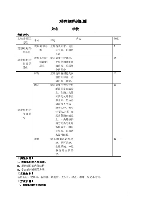 观察和解剖蚯蚓