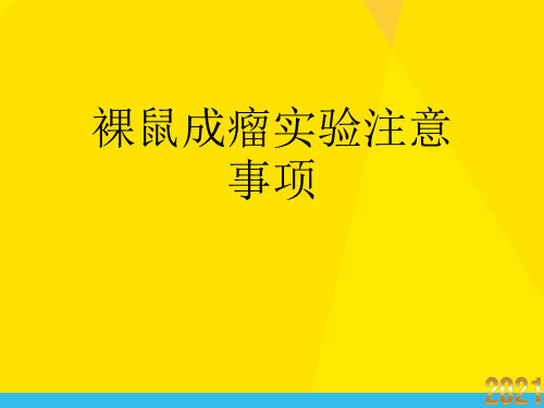 裸鼠成瘤实验注意事项