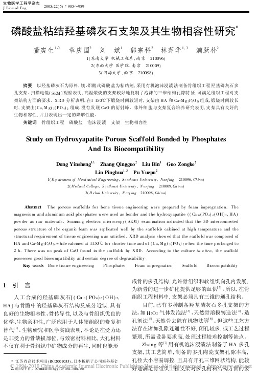 磷酸盐粘结羟基磷灰石支架及其生物相容性研究