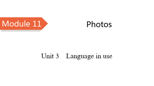 外研版九年级英语(WY)上册精品课件 Module 11 Unit 3