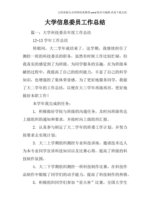 大学信息委员工作总结