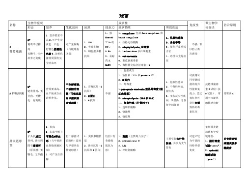 微生物总结(表格版)