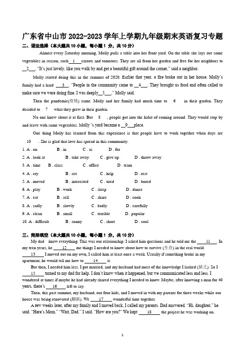 广东省中山市2022-2023学年九年级英语期末复习卷