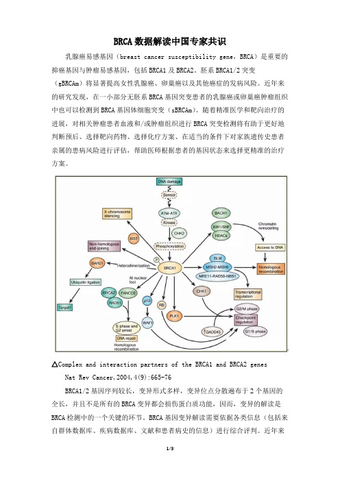 BRCA数据解读中国专家共识