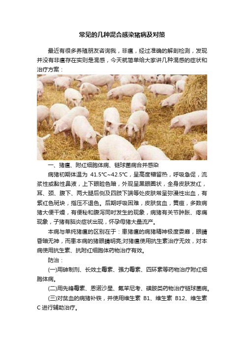 常见的几种混合感染猪病及对策