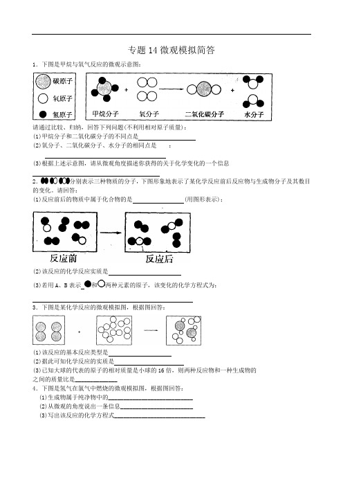 九年级化学专题训练--微观模拟简答 doc