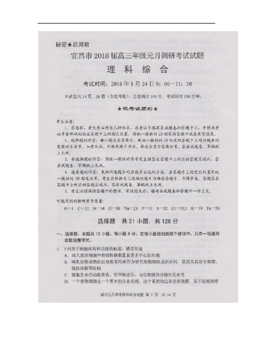 湖北省宜昌市2018届高三元月调研考试理科综合试卷(扫描版)