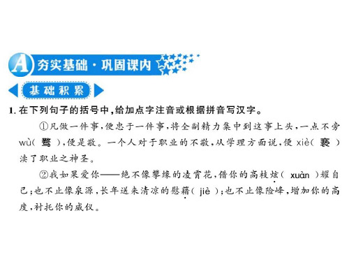 秋语文版九年级语文上册(遵义)习题课件：2 致橡树 (共20张PPT)