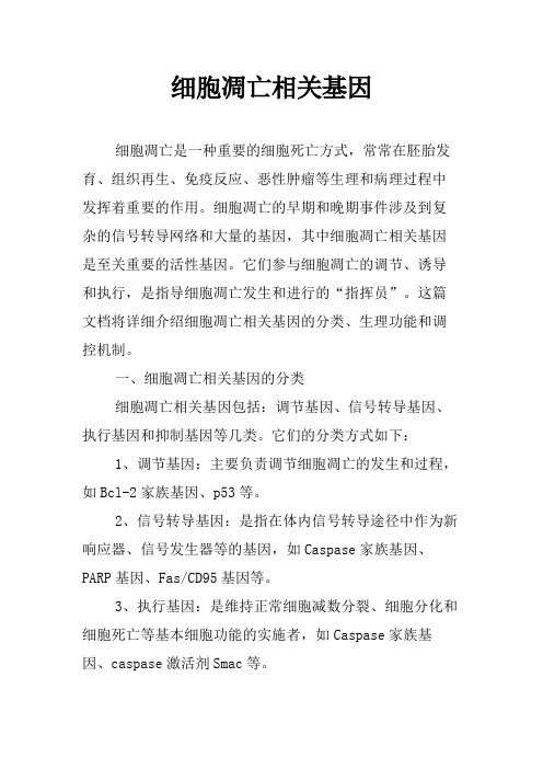 细胞凋亡相关基因
