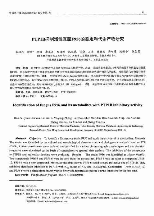 PTP1B抑制活性真菌F956的鉴定和代谢产物研究