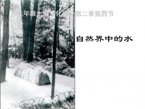 九年级化学自然界中的水2(2)(中学课件2019)