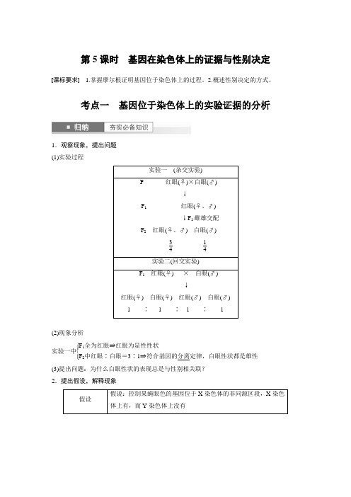 2024届高考一轮复习生物教案(苏教版)：基因在染色体上的证据与性别决定