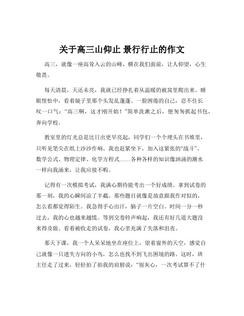 关于高三山仰止 景行行止的作文