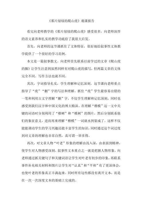 《绿绿的爬山虎》评课报告